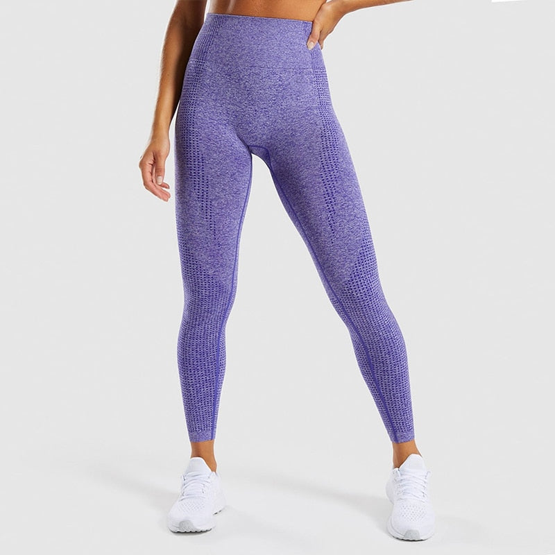 High Waist Seamless Fitness Leggings