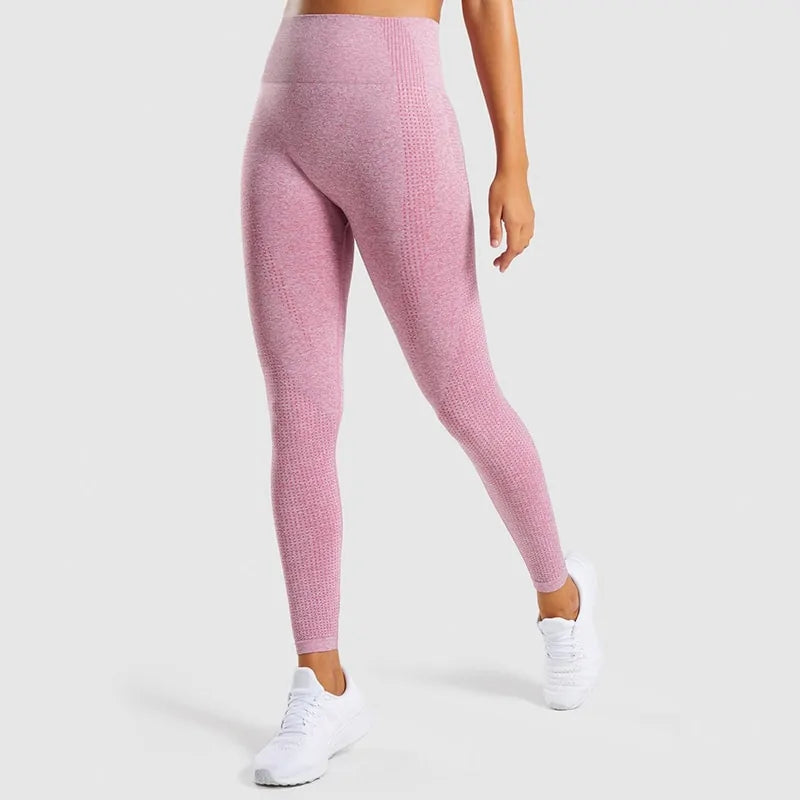 Seamless High Waist Sport Leggings