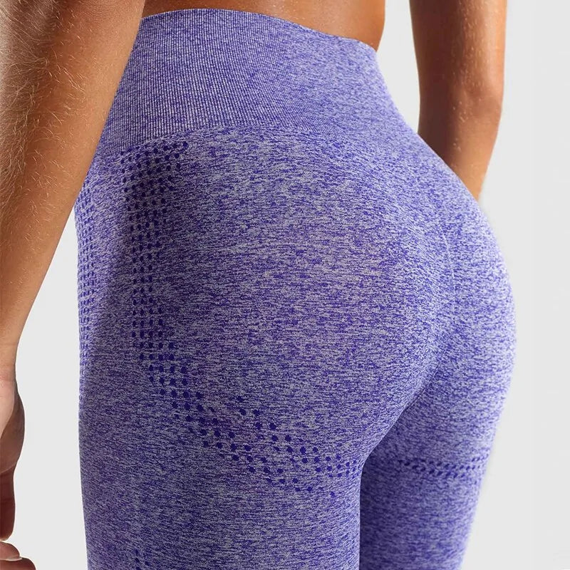 Seamless High Waist Sport Leggings