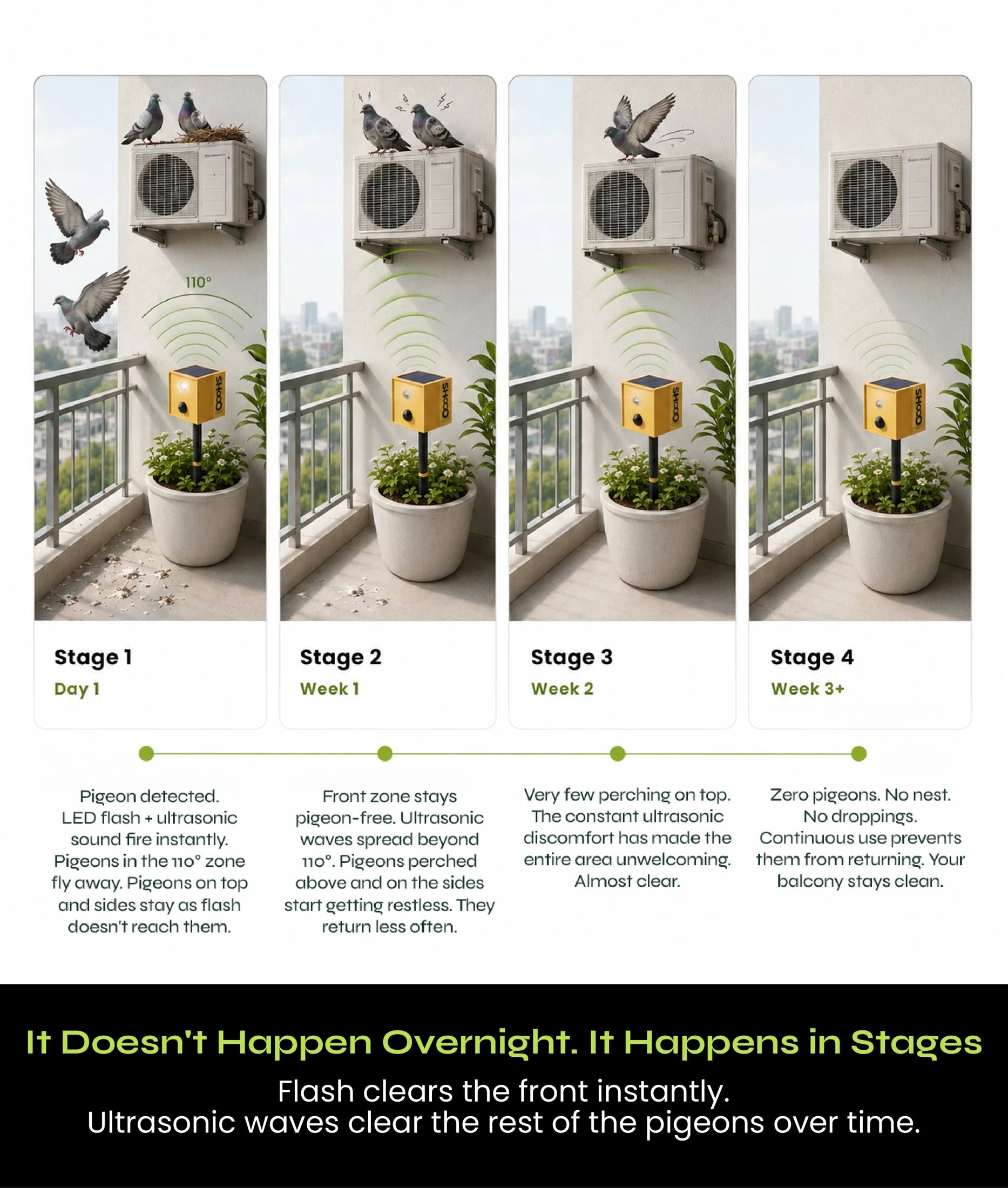 Illustration of changing bird perching habits over time